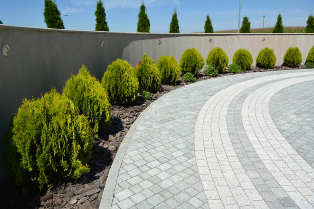 Best Driveway Pavers Near Me  in Pleasant Garden, NC