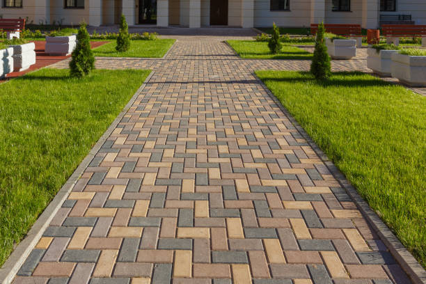 Best Driveway Paving Contractor  in Pleasant Garden, NC